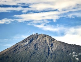 GRAN SAFARI DESDE KENYA A TANZANIA
