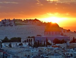 EGIPTO-ISRAEL - JORDANIA (Israel y Jordania:  8 cenas adicionales)