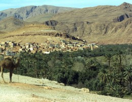 MARRUECOS, MAR DE DUNAS